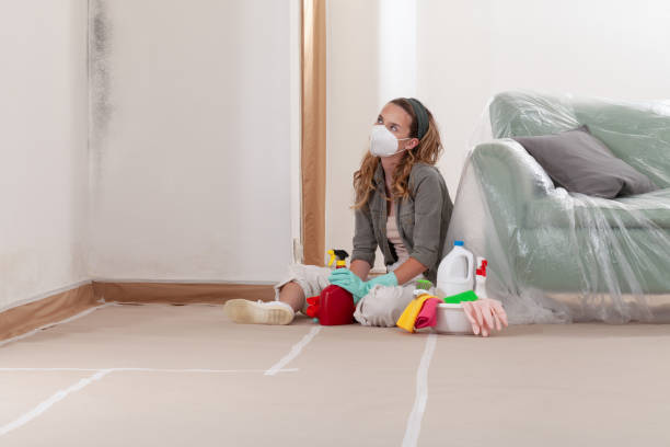 Reliable Mold Remediation contractor in Newport, NC by 24 Hour Mold Removal